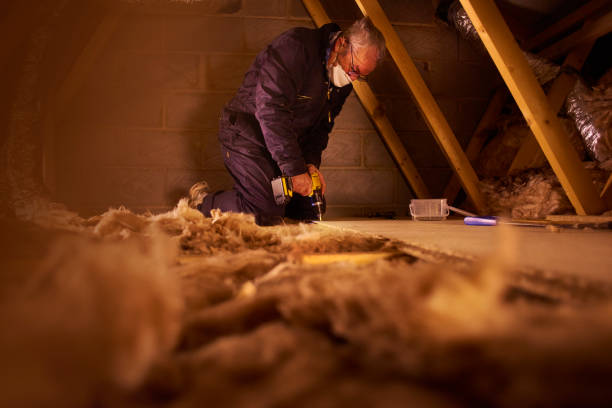 Best Crawl Space Insulation  in Pleasant Hill, IA